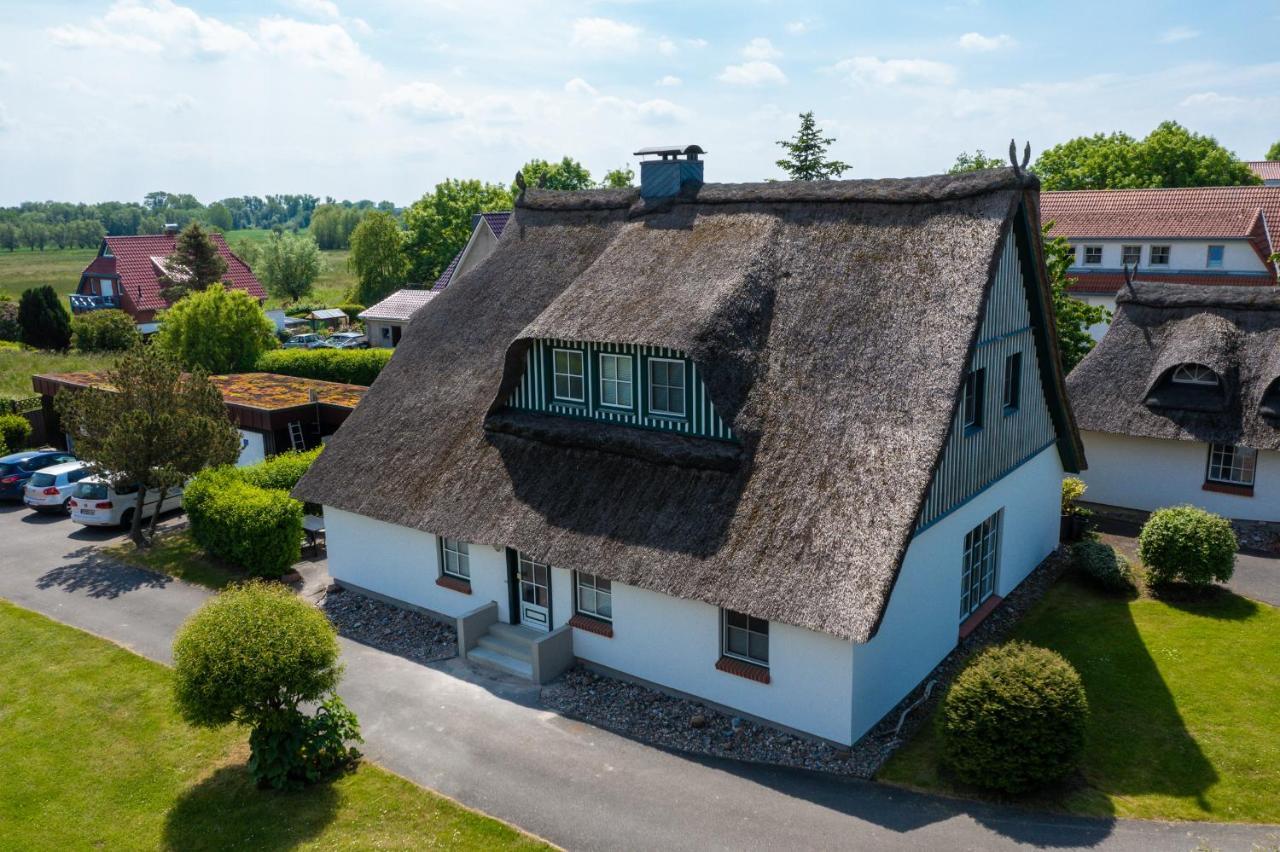 An Der Steilkueste Wohnung 03 Boltenhagen  Eksteriør billede